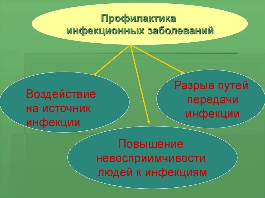 Профилактика инфекционных заболеваний обж презентация. Пути передачи инфекции и профилактика. Доклад профилактика инфекционных заболеваний по ОБЖ. Мероприятия по повышению невосприимчивости к инфекциям. Мероприятия направленные на разрыв путей передачи инфекции.