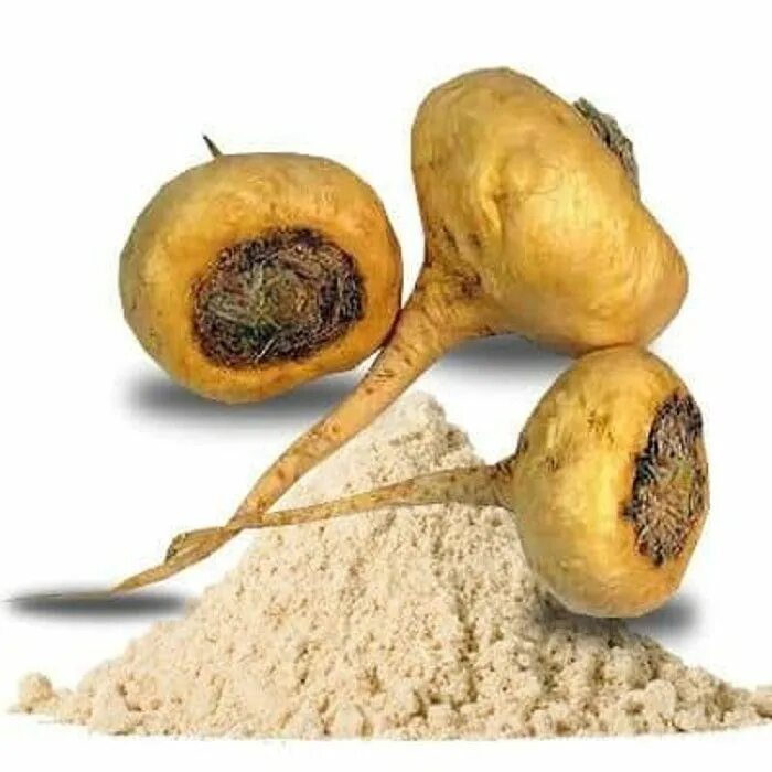 Мак полевой (мак-самосейка. Мак самосейка строение. Lepidium meyenii. Мак самосейка растение. Мак клубень.