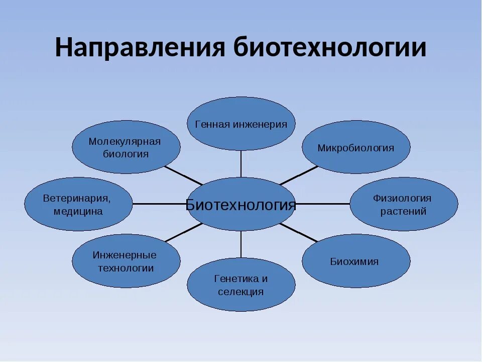 Какую технологию использует мир. Направления биотехнологии. Главные направления биотехнологии. Современные направления биотехнологии. Основные направления развития биотехнологии.