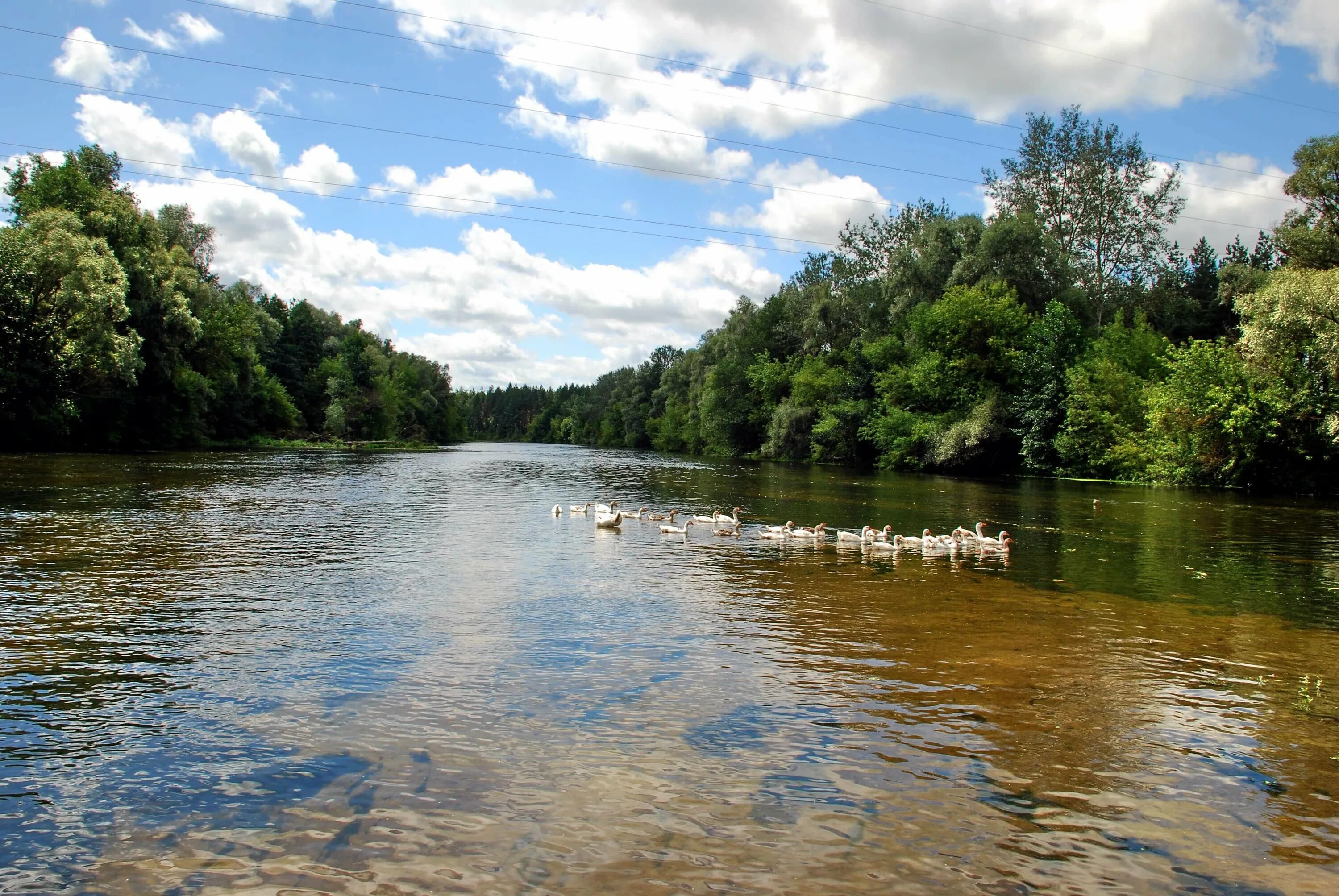 Река Псел Курская область. Река псёл в Белгородской области. Река псёл Сумы. Река Псел Суджа.