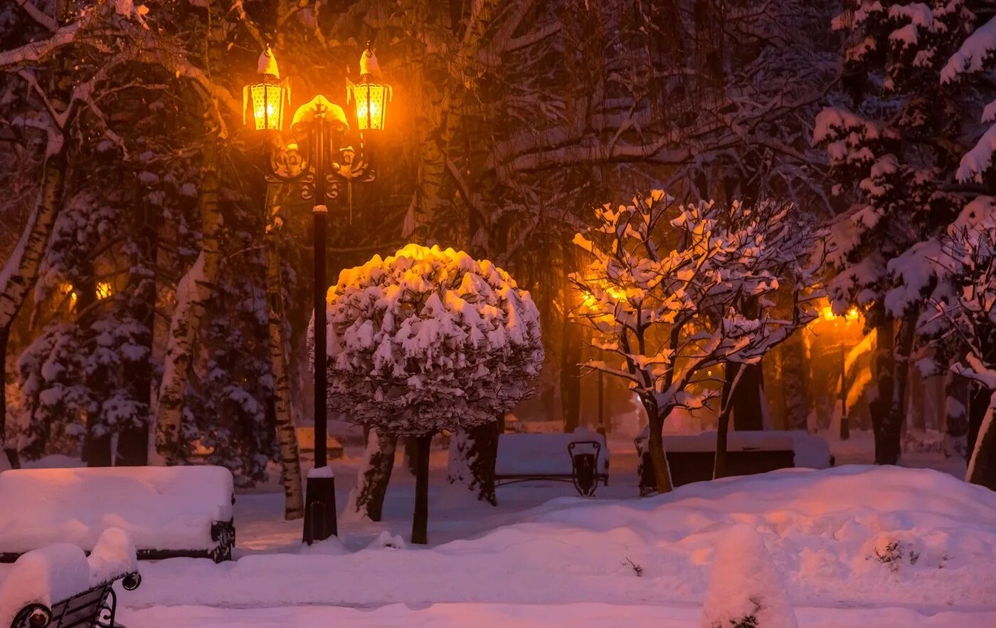 Вечер декабрь. Зимний парк. Зимний парк ночью. Снежный вечер. Зима. К вечеру.