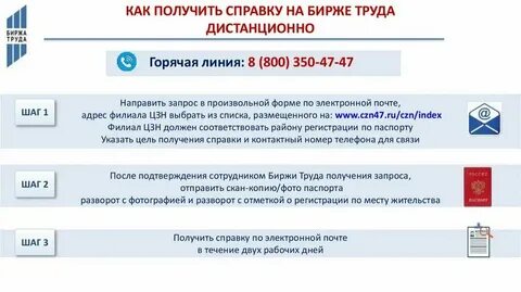 Бира труда