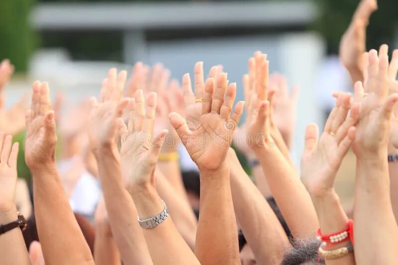 Hands up extended. Фото hands up. hands up. hands up photo. hands up video.