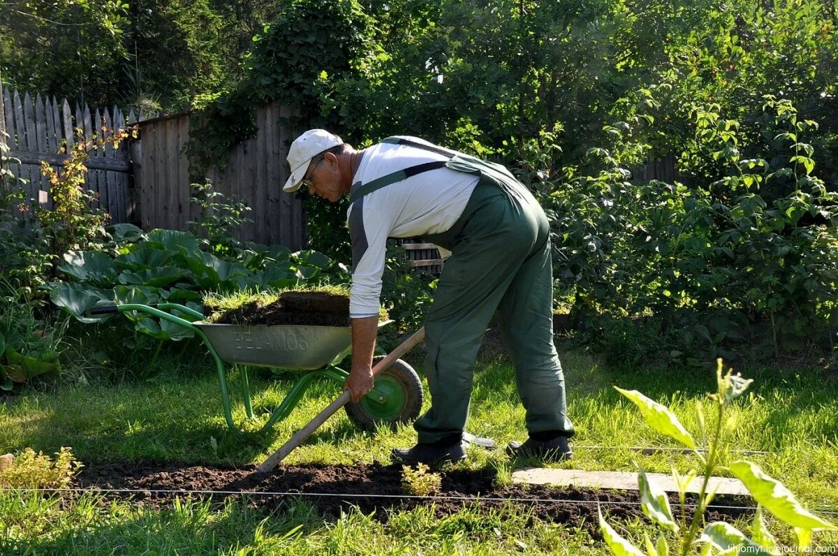 Работаем на дачном участке