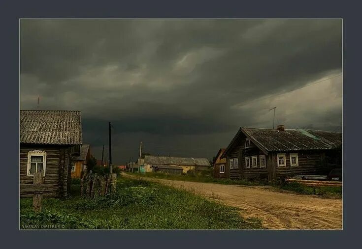 Ворона перед грозой. Photographer German Kornilov