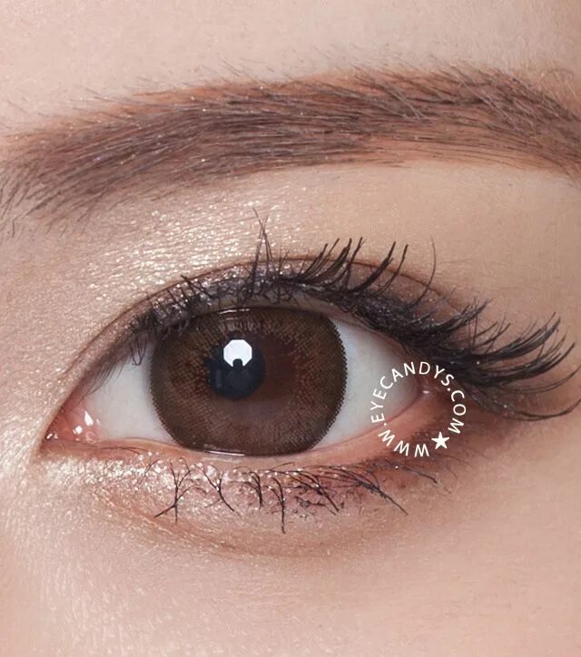 Линзы moonwalk brown. Adore bi tone blue. Линзы на карие глаза. Линзы ttd eye голубые. Freshtone gray.