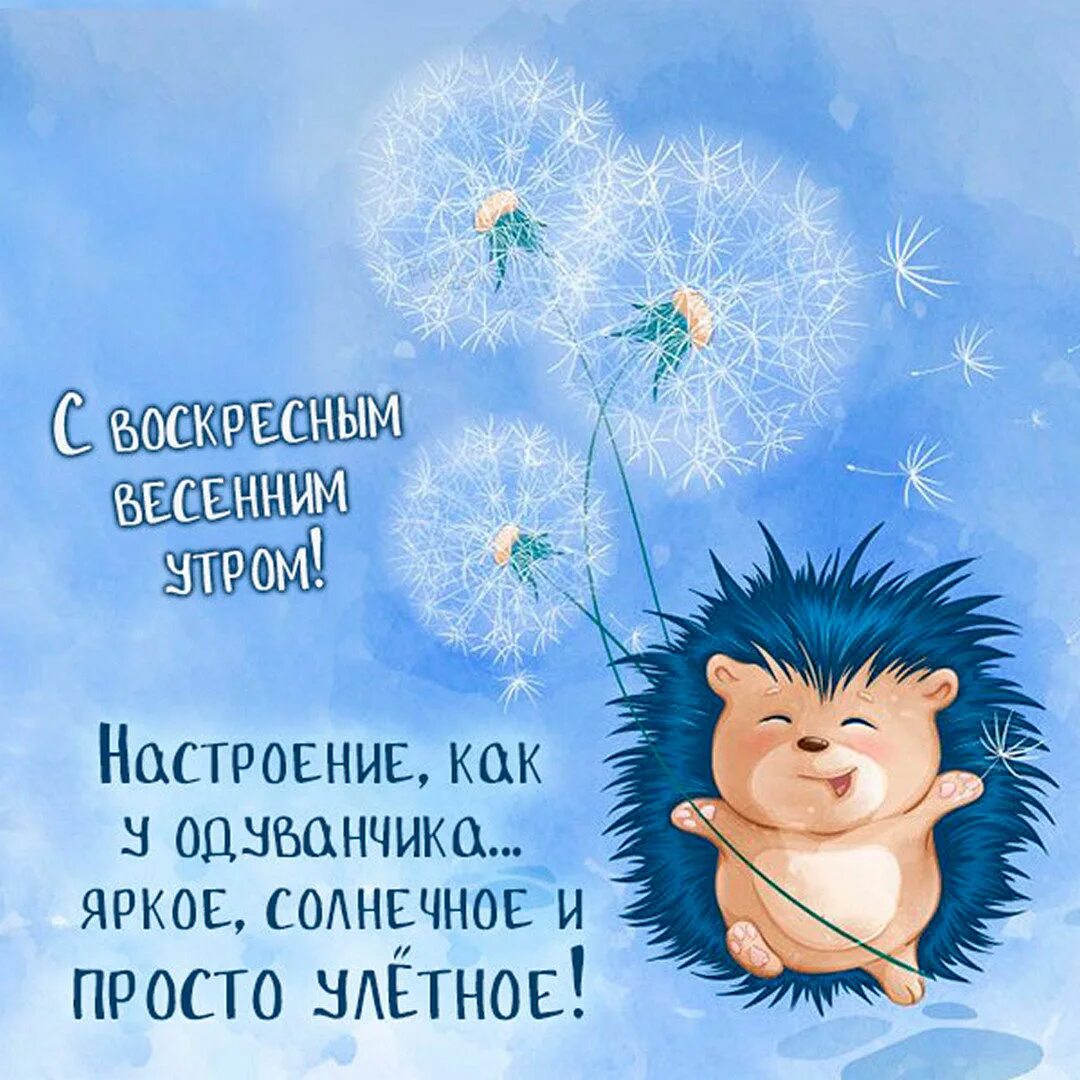 Доброе утро воскресенья веселые картинки. С добрым утром воскресенья. хорошего дня и отличного настроения. доброе утро воскресенье картинки прикольные. открытки с пожеланиями на каждый день хорошего настроения.