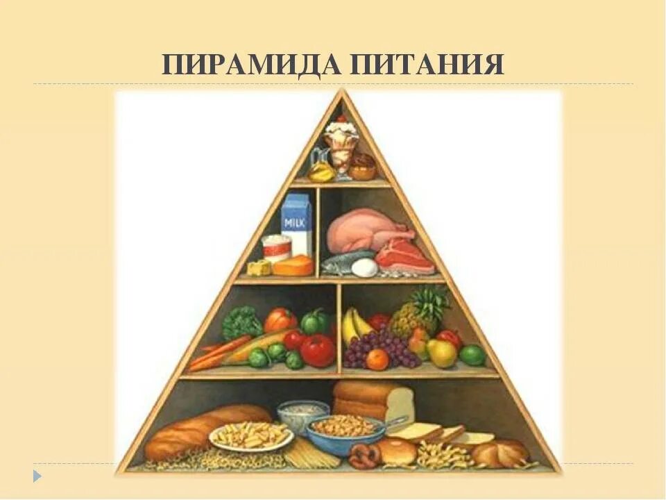 Уровни питания. Пищевая пирамида. пищевая пирамида здорового питания. пирамида питания человека. основа пирамиды здорового питания.