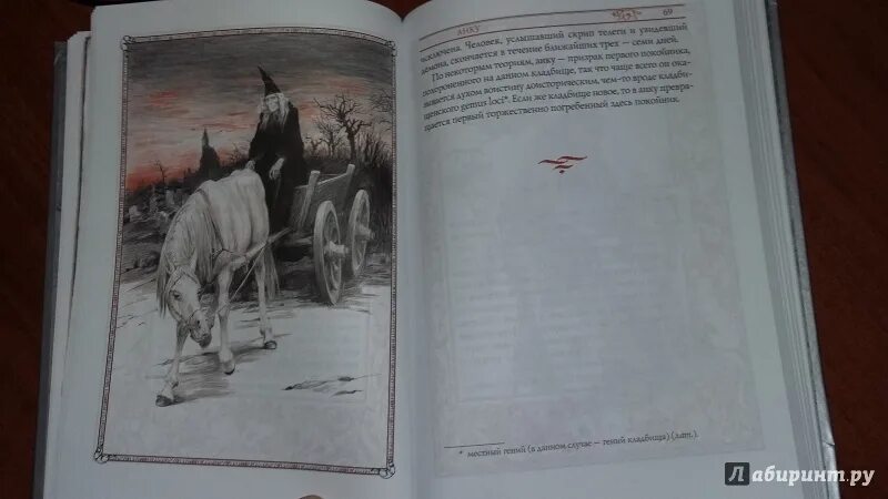 Создания света создания тьмы. Бестиарий света тьмы сапковский. сапковский с иллюстрациями. бестиарий создания света мрака полумрака. бестиарий анджея сапковского с иллюстрациями.