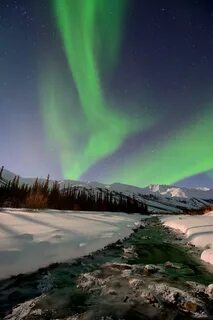 Alaska north to the future 1.49