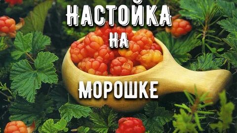 Морошка пить