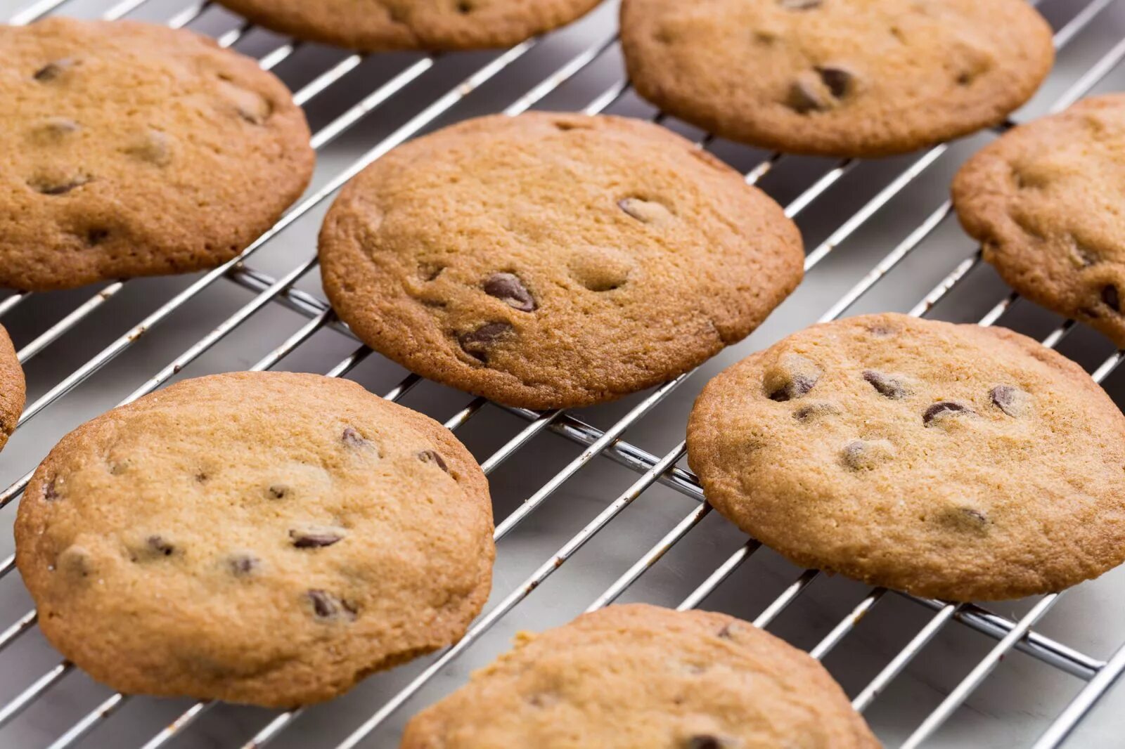 Crispy cookie. Hobnobs печенье. печенье ресторанные. печенье chocolate chip cookies. во всей красе печенье.
