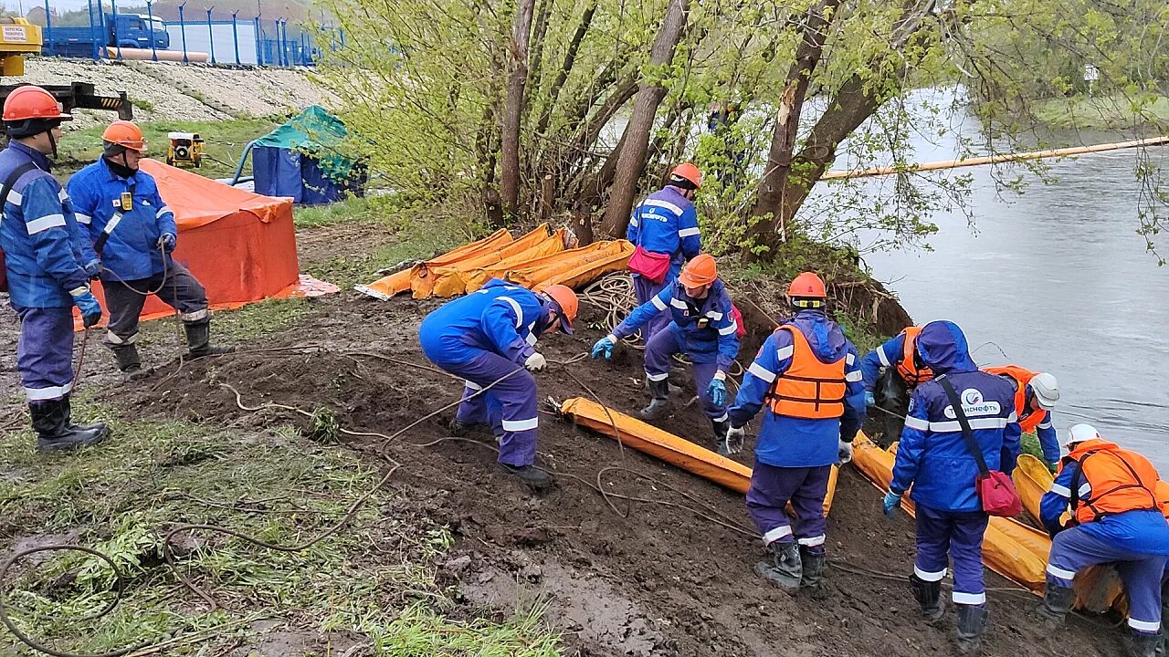 Создание спасательных служб