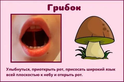 Рот рта год года гриб грибы