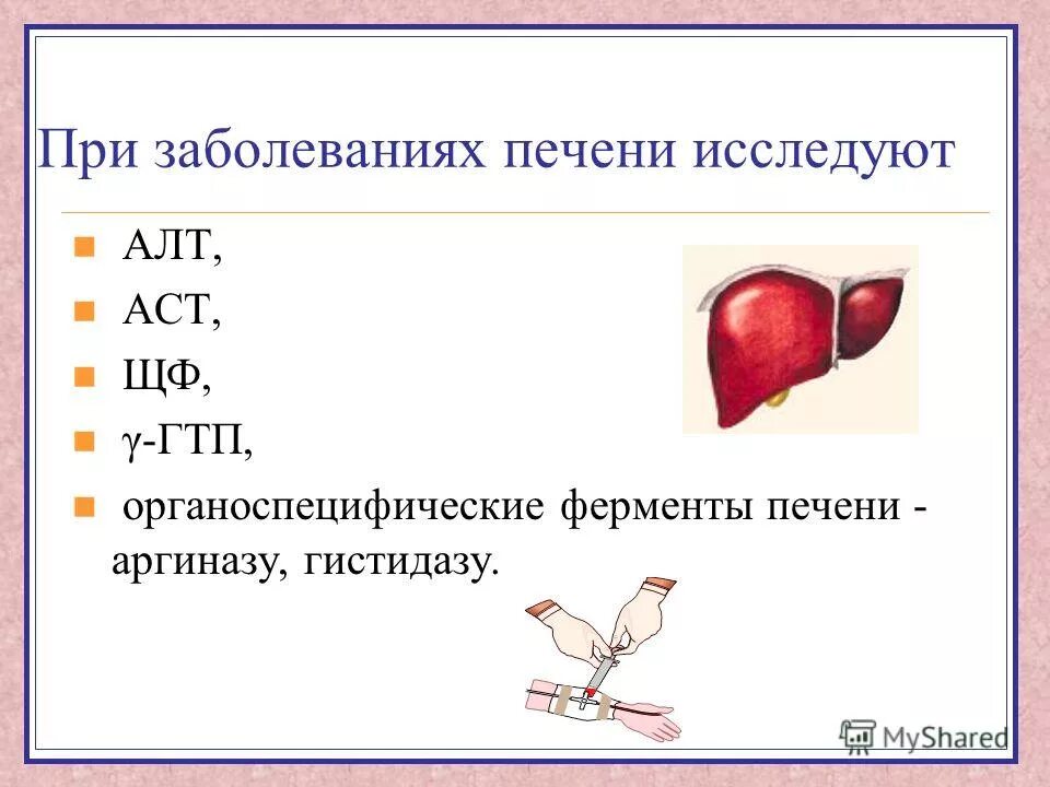 Печень выделяет в кровь. Органоспецифические ферменты печени. Ферменты синтезирующиеся в печени. Печень ферменты и функции. Печень выделяет ферменты.