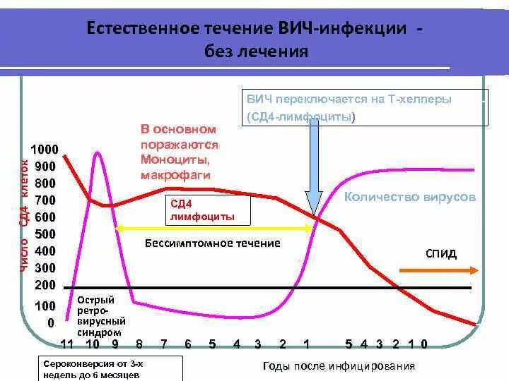 Сколько клеток вич