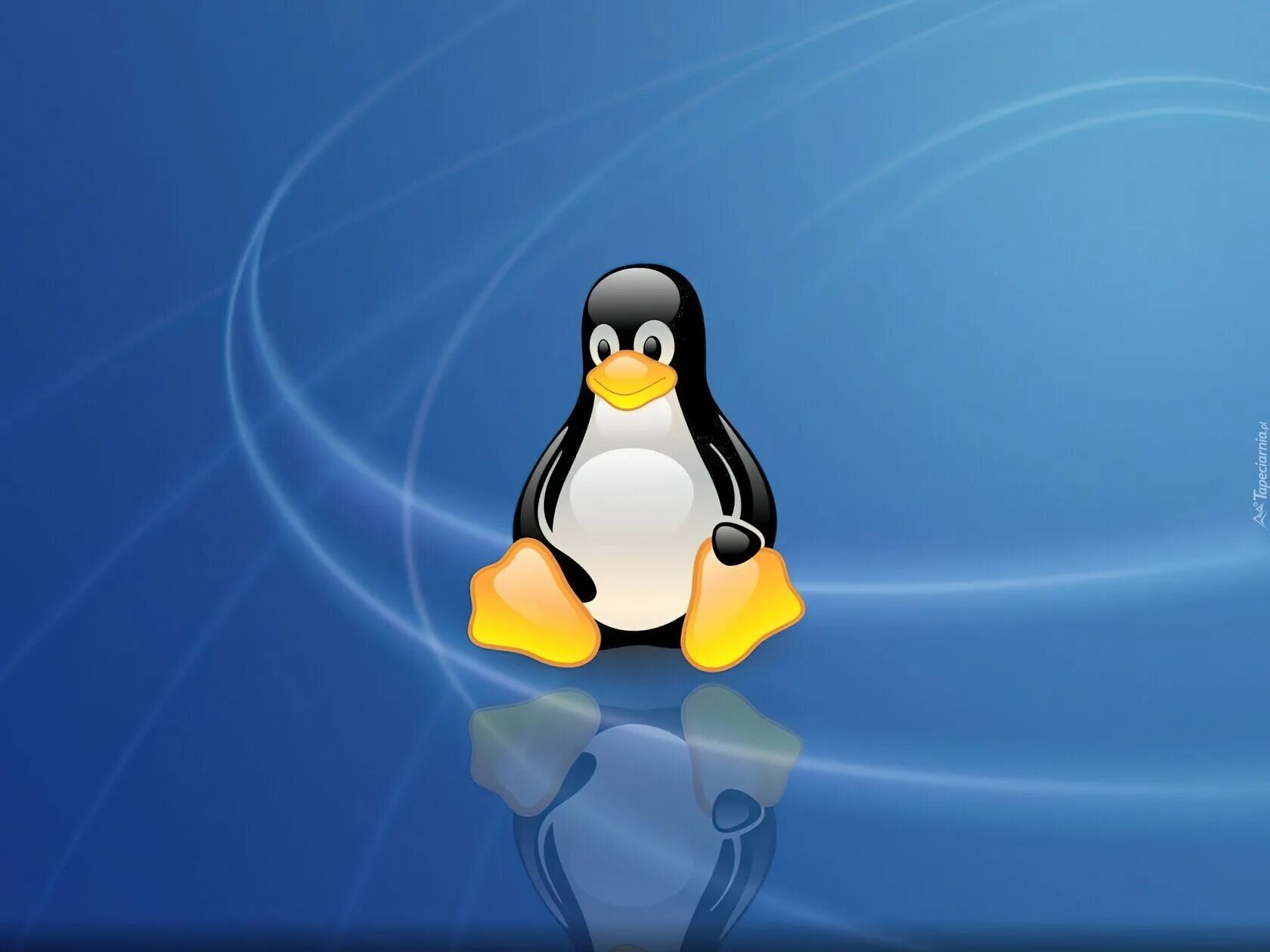 Linux Операционная система. Операционные системы линукс. Оперативная система линукс. Линекс опереционая система.