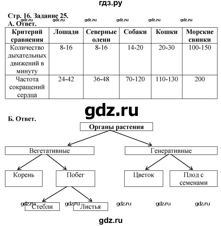 Биология 5 класс рабочая тетрадь стр 89