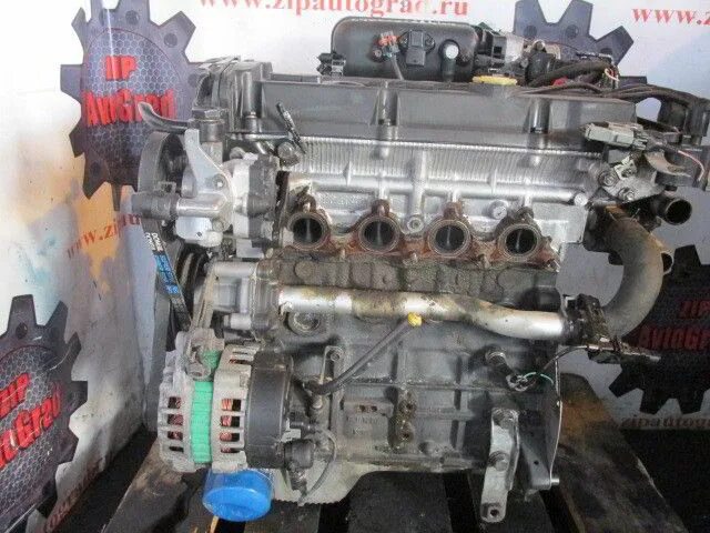 Dohc accent. Dohc accent