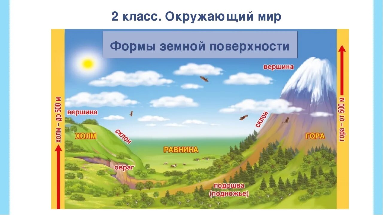 Земная поверхность какие определения подходят. Формы земной поверхности. Тема формы земной поверхности. Наглядный материал по окружающему миру. Формы земной поверхности картинки.