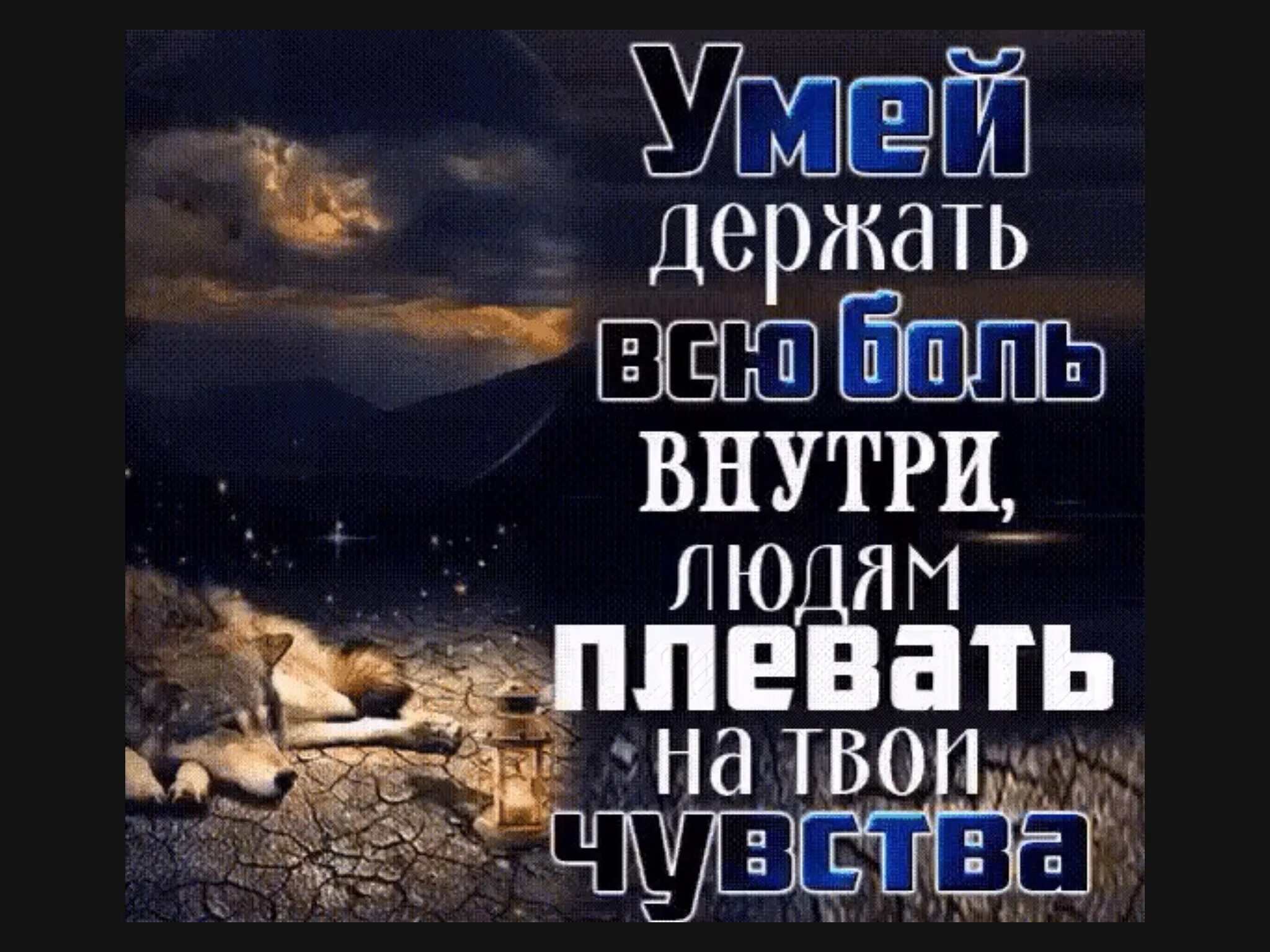 Всем плевать на твои проблемы цитаты. Мне плевать на вашу красоту и деньги. Человек которому плевать на других людей. Плевать на других людей статусы. Мне наплевать на чужое мнение.