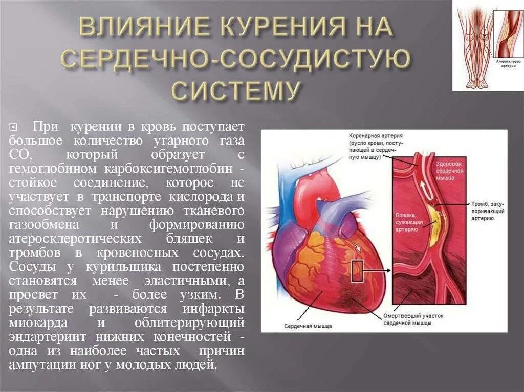 Адреналин сужение кровеносных