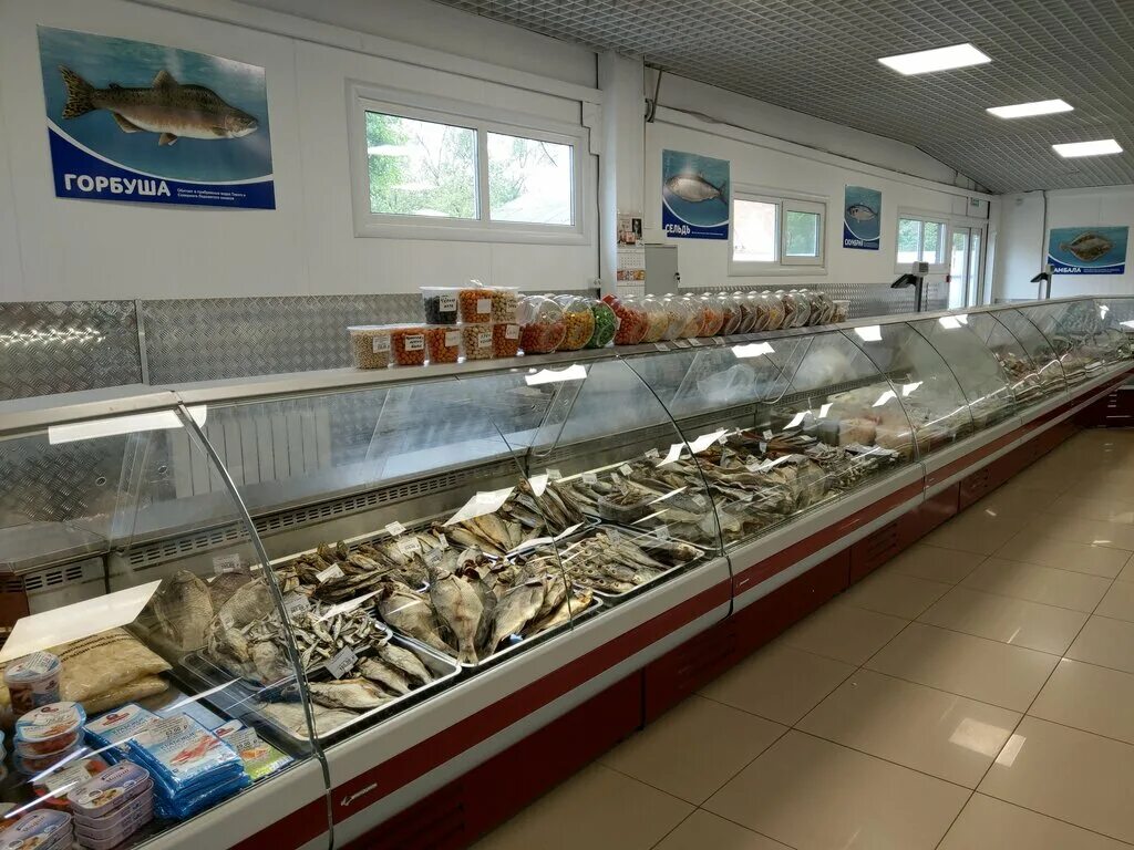 Рыбный магазин океан. Магазин океан Смоленск. Океан Смоленск рыбный магазин. Океан СССР рыбный магазин. Магазин океан Серпухов.