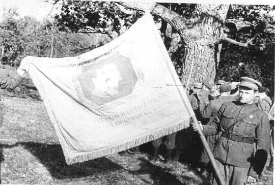 Партизанские знамена. Знамя партизанского соединения Ковпака. Знамя Путиловского партизанского отряда. Штандарты партизанских отрядов. Партизанский отряд Ковпака.