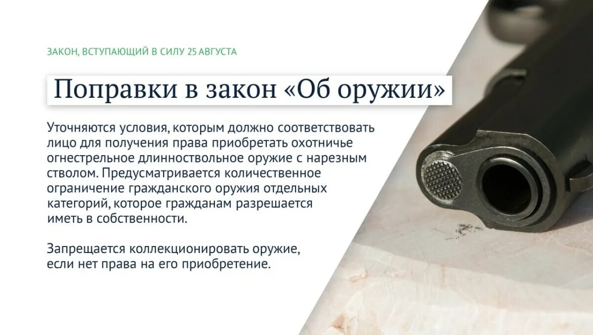 Изменение закона об оружии 2025. Поправки в оружейные законы. закон вступает в силу. поправки в закон об оружии 2025. изменения об оружии.