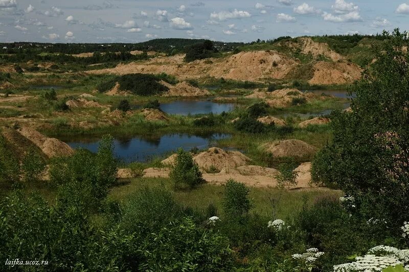 Сычёво московская область. Сычево вода. Выбор сычево. Чисмена (посёлок). Сычево новорижское шоссе.