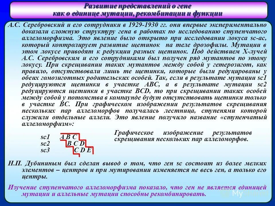 Единицей мутации является