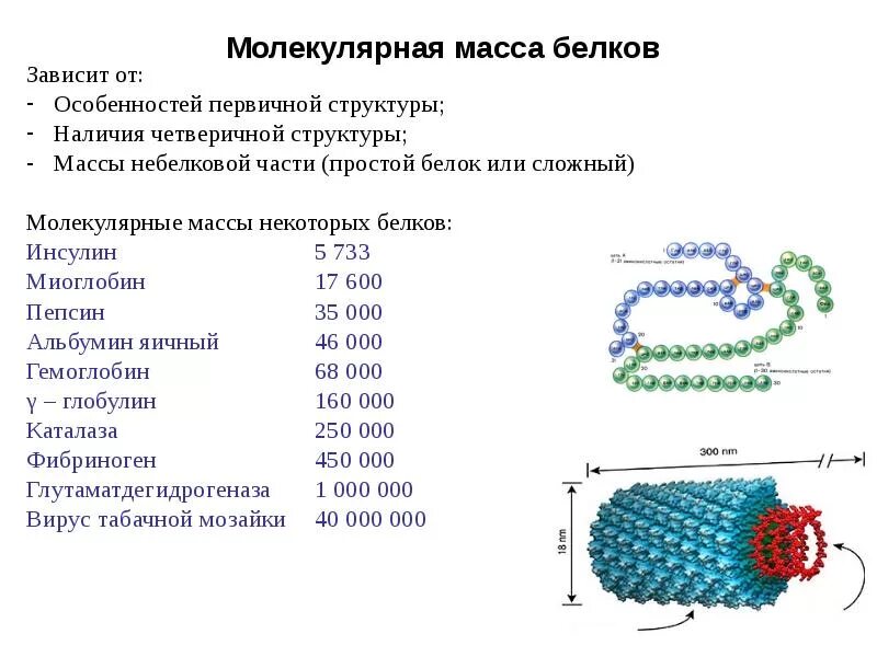 Масса молекул определение. Методы определения массы белков. Молекулярный вес белков методы его определения. Молекулярная масса белков формула. Молекулярная масса молекул белков.