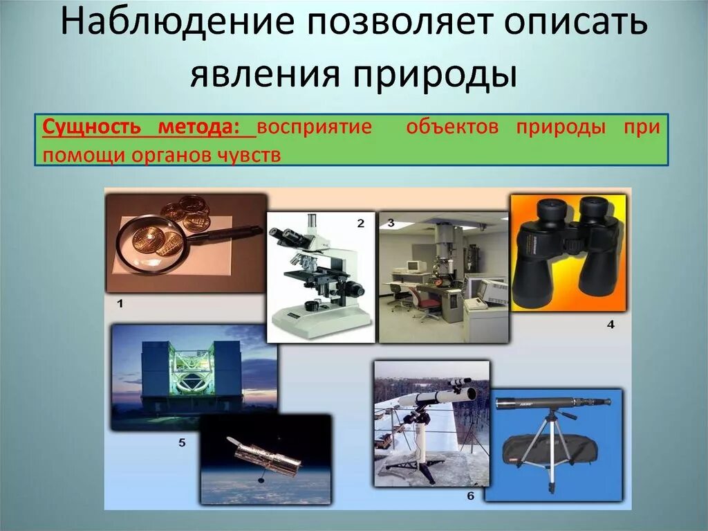 Какие приборы нужны для наблюдения. Приборы для наблюдения. Приборы наблюдения в физике. Приборы для наблюдения по биологии. Инструменты для изучения природы.