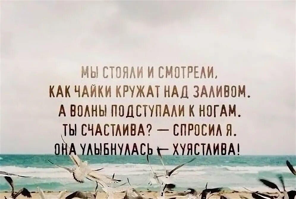 Чайка ноты. Кружится чайка. Черноголовая чайка черноголовая чайка. Кружатся чайки текст. Кружатся чайки текст.