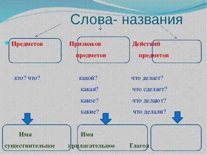 Слова называющие признаки имен