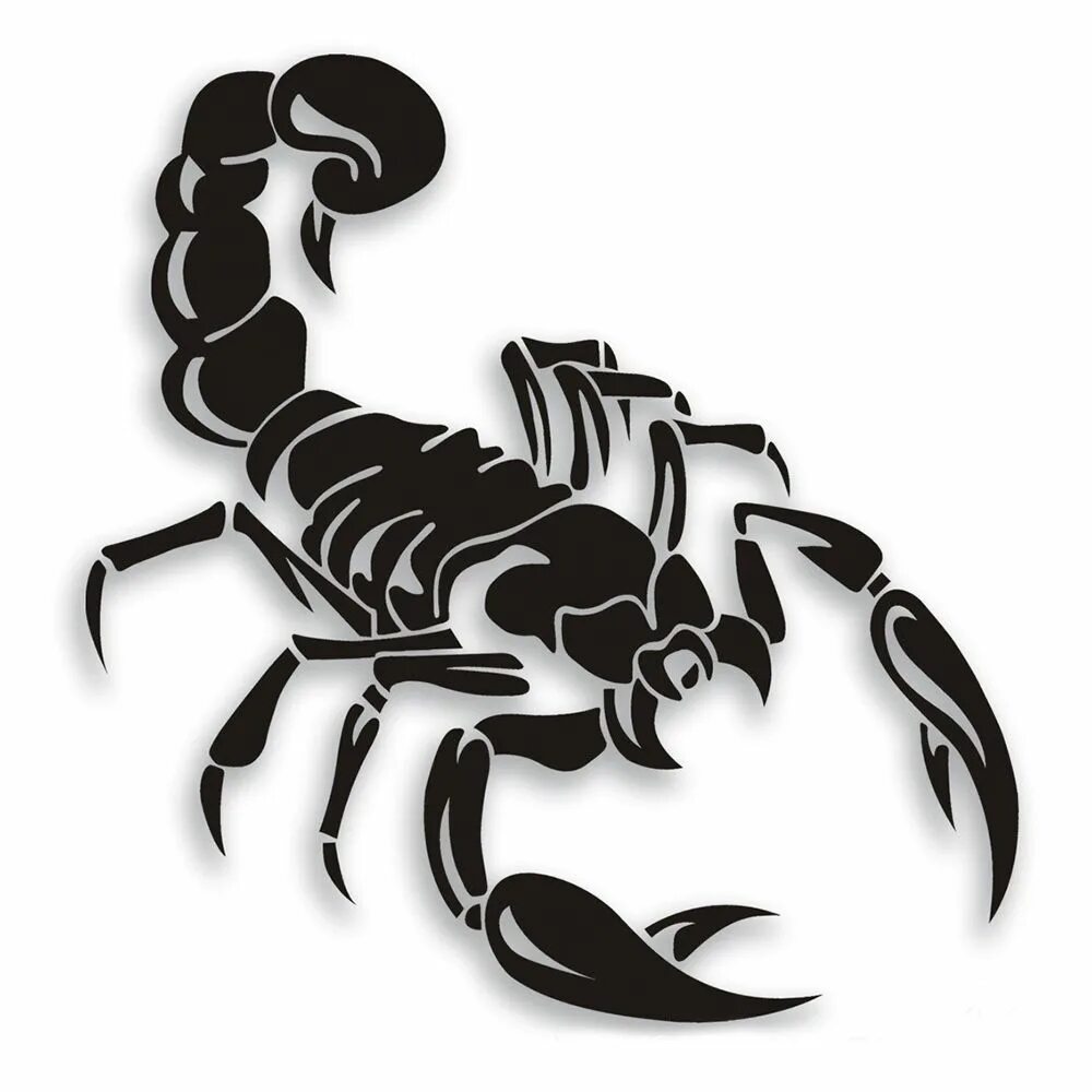 Scorpion white. Скорпион Блэк. Скорпион эскиз. Скорпион тату эскиз. Наклейка Скорпион.