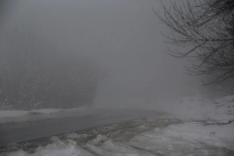 Все было мокро от тумана