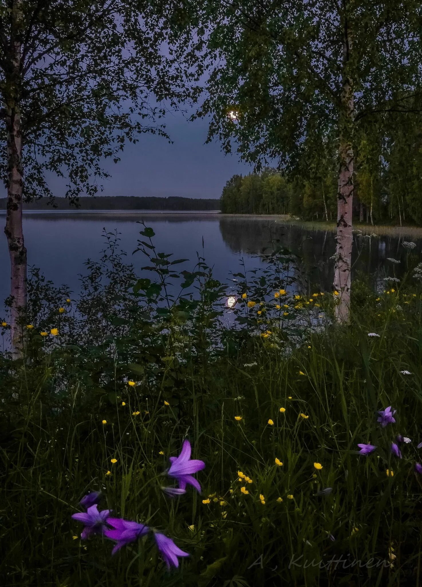 Красиво тихо спокойно. Летняя ночь. Природа вечер. Летняя ночь на озере. Летний вечер.