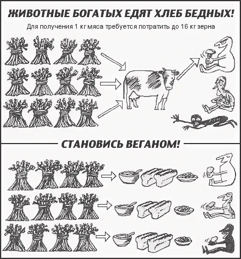 Стимул животных. Схема пищевой мотивации. Пищевая мотивация у собак. Как развить пищевую мотивацию у собаки. Упражнения на развитие пищевой мотивации у собак.