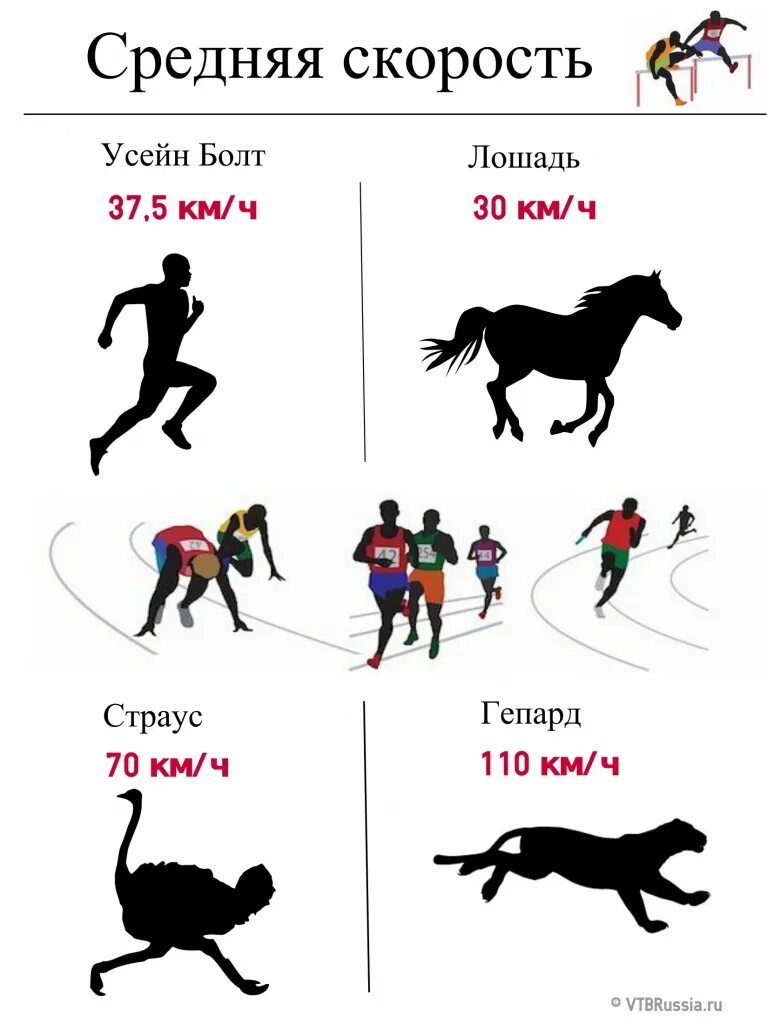 Скорость обычного человека в час. Средняя скорость бега человека. Максимальная скорость бега человека. Средняя скорость человека при беге. Средняя скорость бега человека в км/ч.
