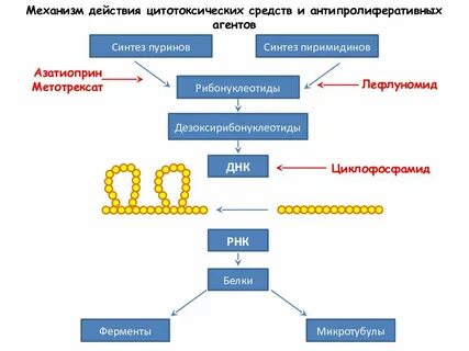 Метотрексат побочка