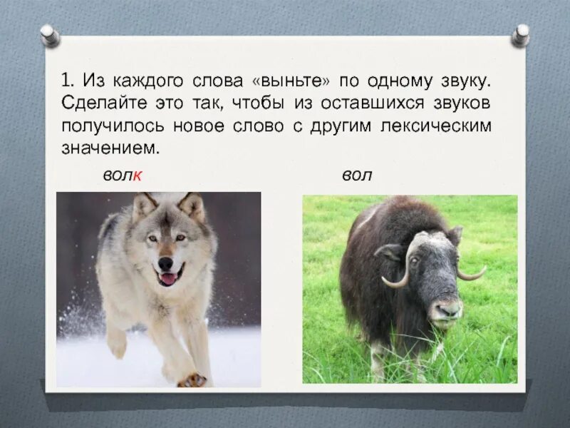 Слово выходить звуки. Волк какой звук обозначает слово. Вол и волк однокоренные слова.