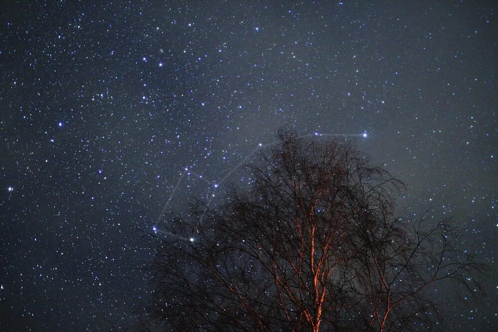 Млечный путь большая медведица. Звездное небо Полярная звезда созвездия. Малая Медведица на Звездном небе. Большая Медведица Созвездие. Полярная звезда на ночном небе.