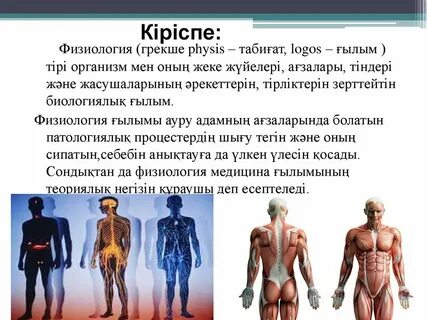 Смотреть порно онлайн: Бала трахает T-Tyu