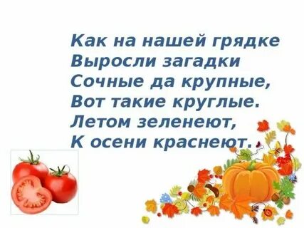 Наши поросятки выросли на грядке