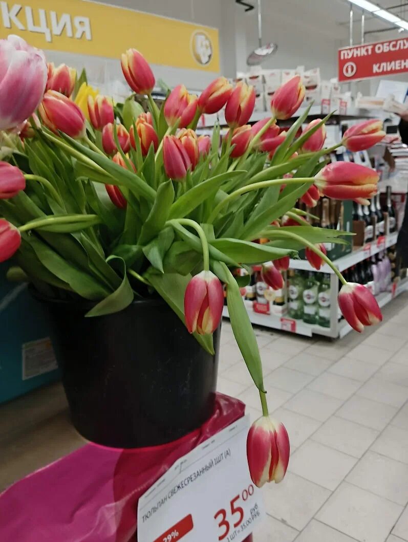 Тюльпаны в ашане цена. Ашан тюльпаны. Тюльпаны из Ашана. Аптекарский огород тюльпаны. Аптекарский огород тюльпаны 2023.