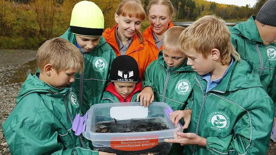 Экологический отряд. Экологические объединения. Детский экологический отряд. Эколог это для детей. Экологические уроки в школе