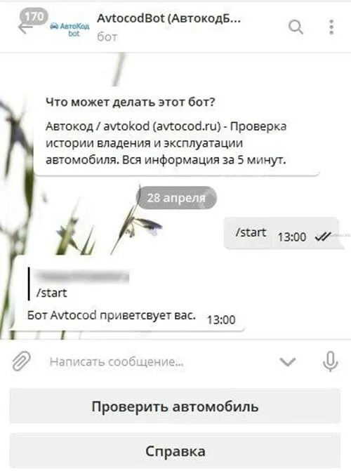Телеграм бот для пробития по номеру. Телеграм бот по номеру авто. поиск владельца по номеру машины в телеграмме. телеграм бот для пробития машины. бот для проверки авто по гос номеру.