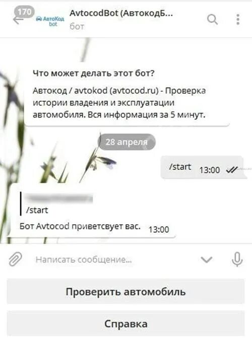 Телеграм бот по номеру авто. Пробить номер машины в телеграмме. Поиск владельца по номеру машины в телеграмме. Проверить номер авто телеграмм. Бот владелец номера телефона