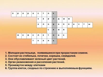 Зародыш сканворд